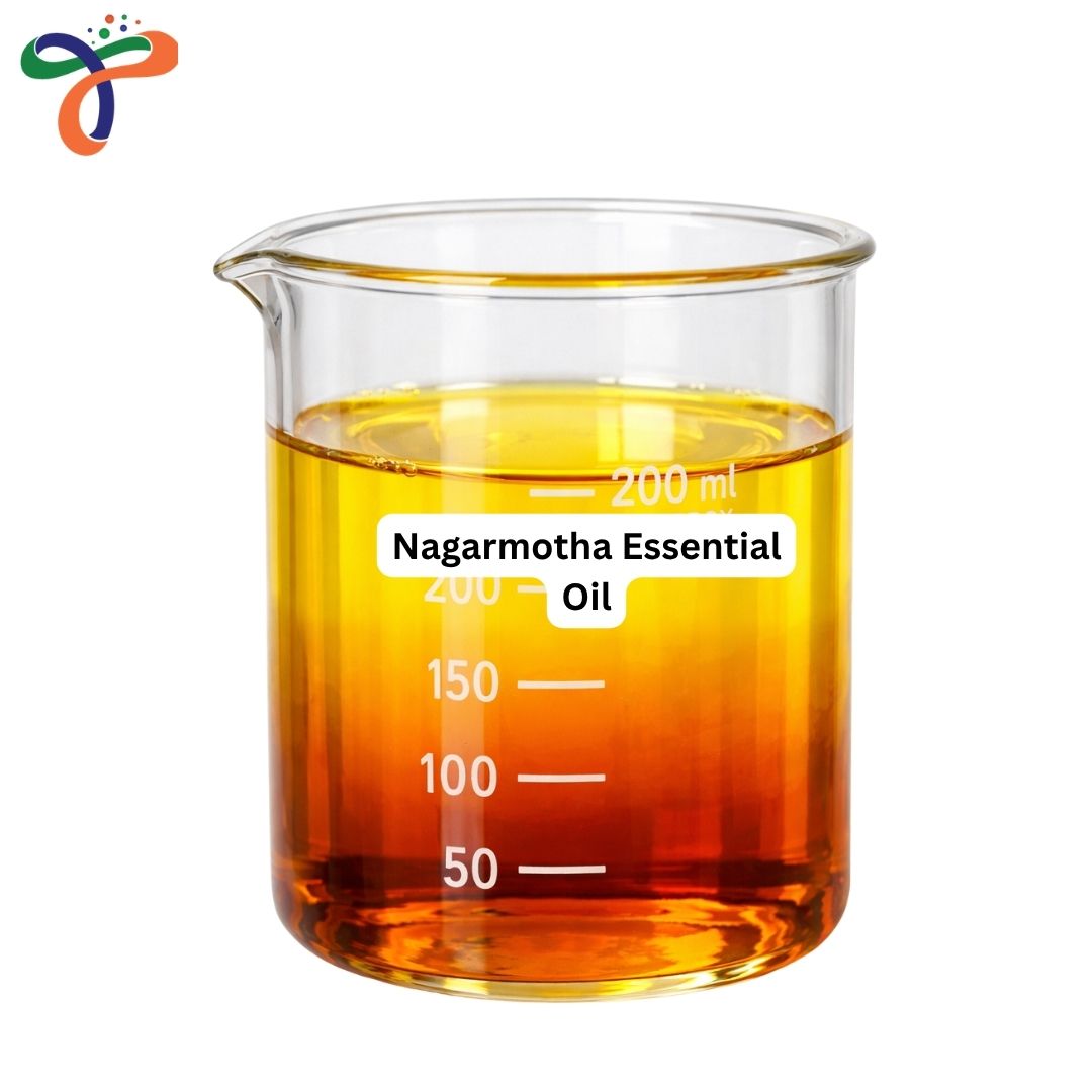 Nagarmotha Essential Oil